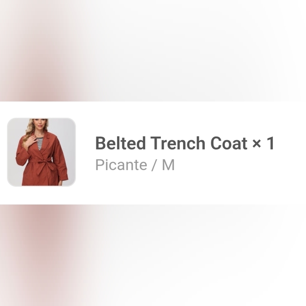 NWT Women's Belted Trench Coat in Picante rust color - Picture 4 of 4